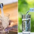 Jaka woda jest najlepsza dla naszego organizmu? Źródlana, mineralna, czy z kranu?