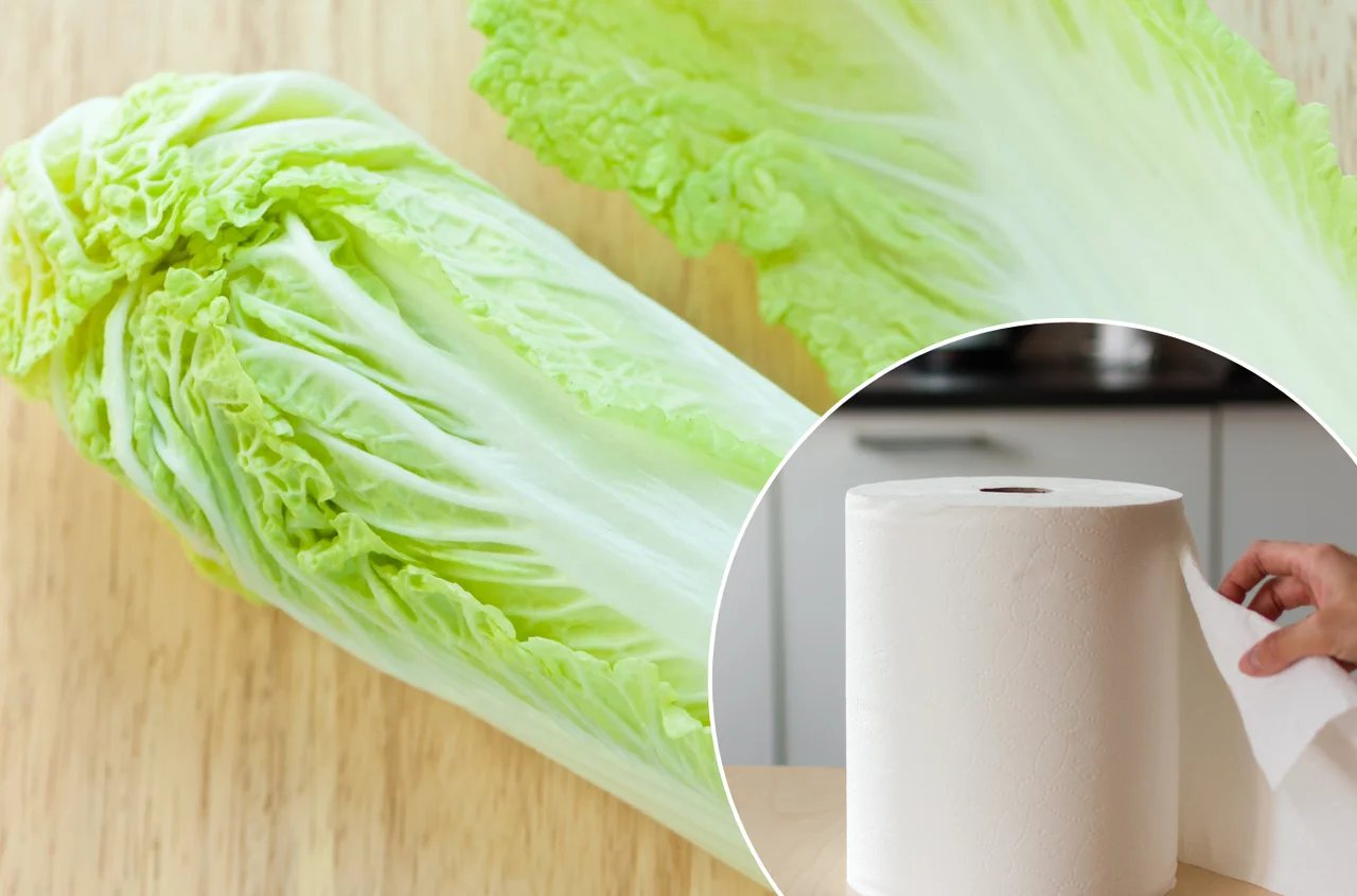 Większość ludzi źle przechowuje kapustę pekińską! Oto trik, dzięki któremu dłużej pozostanie świeża